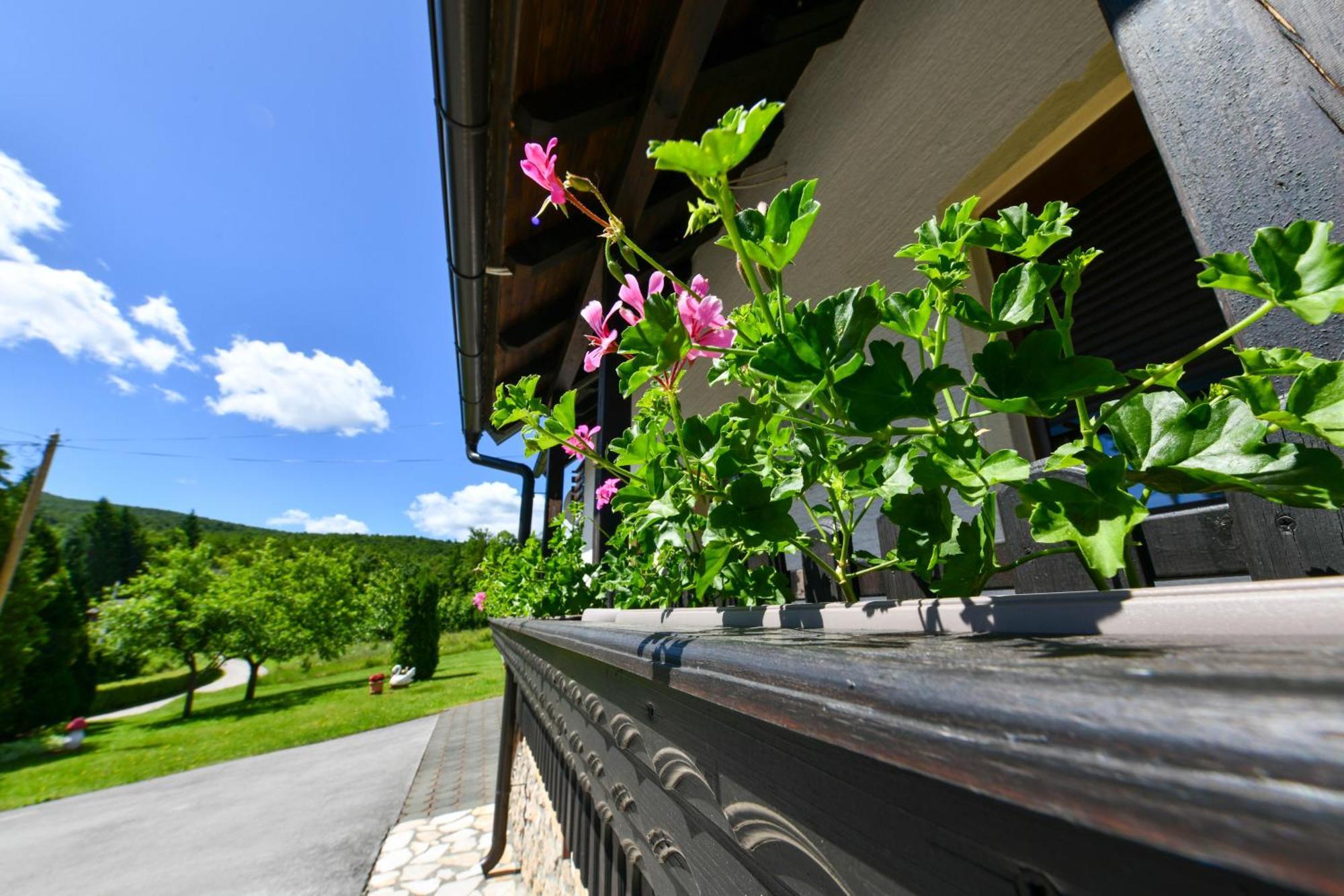Apartment & Rooms Luketic Rastovača Exteriör bild